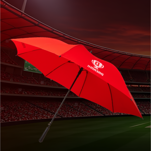 Dream 11