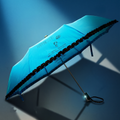 SEBI UMBRELLA