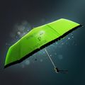SEBI UMBRELLA