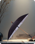 Umbrella 1
