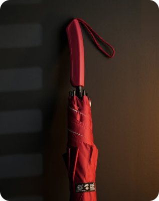 umbrella 2